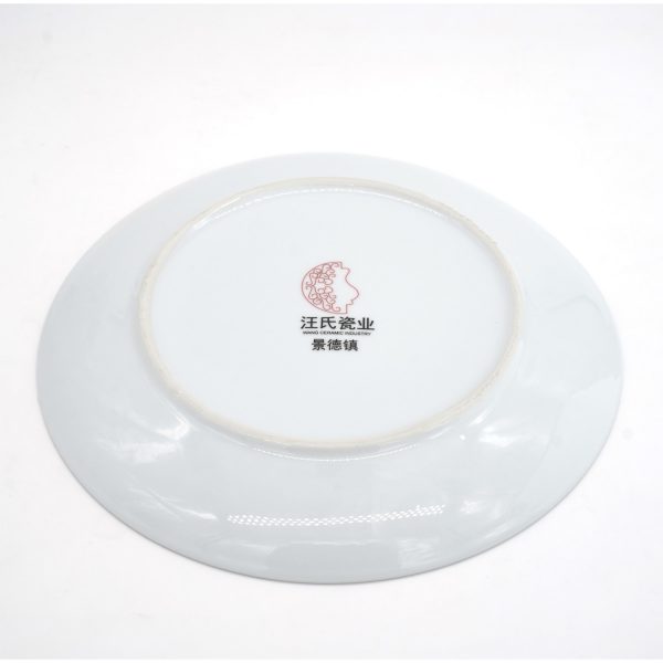 Chinese Blue & White Porcelain Plate Back appearance